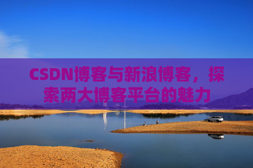 CSDN博客与新浪博客，探索两大博客平台的魅力